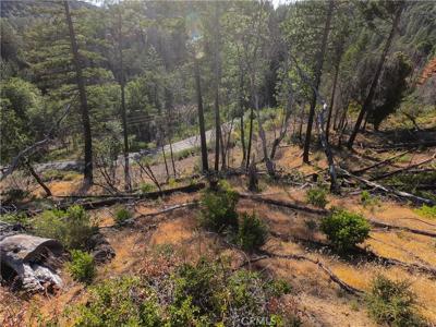 13627 View Road