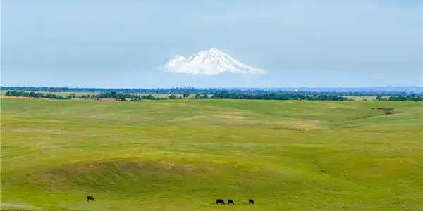 0 Rancho Tehama Road