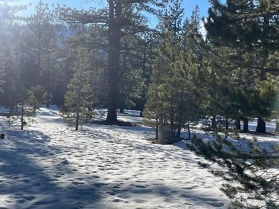 2510 Blitzen Road