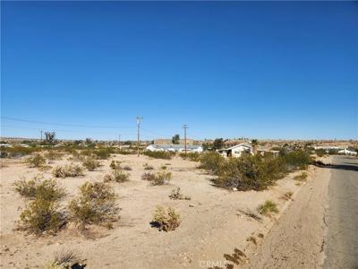 3 LOT Juniper Avenue