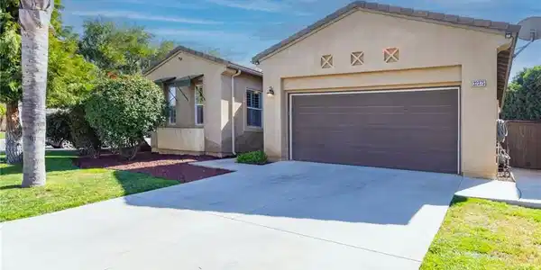 32375 Safflower