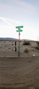 1 Amboy Rd. Road