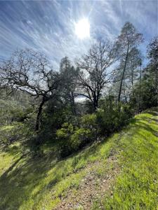 3844 Richmond Trail