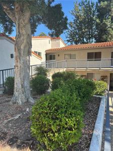 3382 Punta Alta