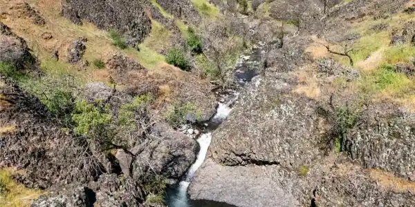 0 Ponderosa