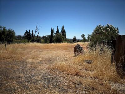 1610 Jaramillo Lane