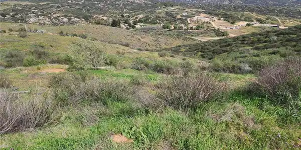 2 Silver Springs