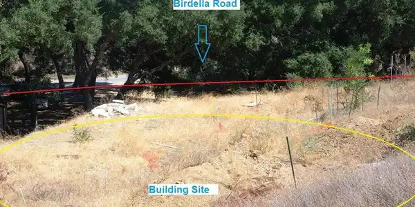 31436 Birdella