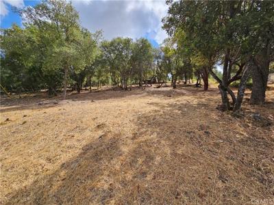 9599 Timberline Court