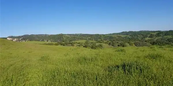 71901 Vineyard Canyon Road
