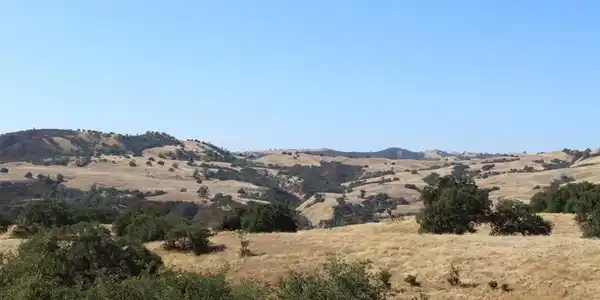 71902 Vineyard Canyon Road