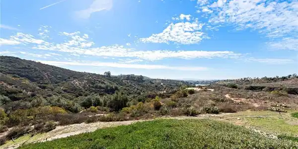 21485 Silvertree Lane