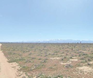 0 Cactus Rd
