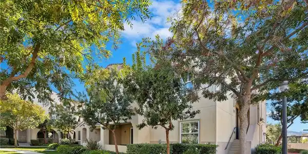 31205 Strawberry Tree