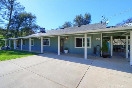 4421 Scrubby Oak