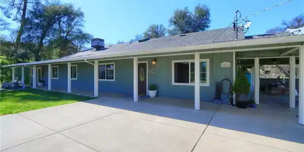 4421 Scrubby Oak