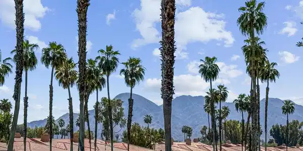 89 Camino Arroyo S