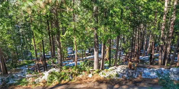1803 Evergreen
