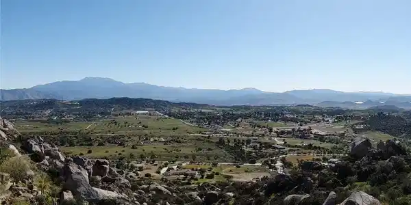 23698 Tapatia