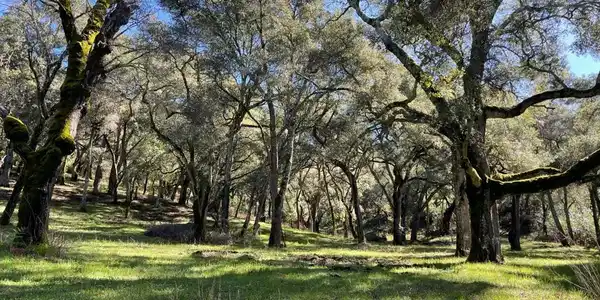 10 Garzas Trail