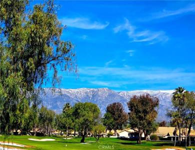 1082 Pine Valley