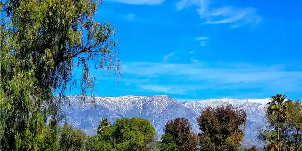1082 Pine Valley