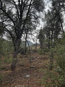 14208 Yellowstone Drive