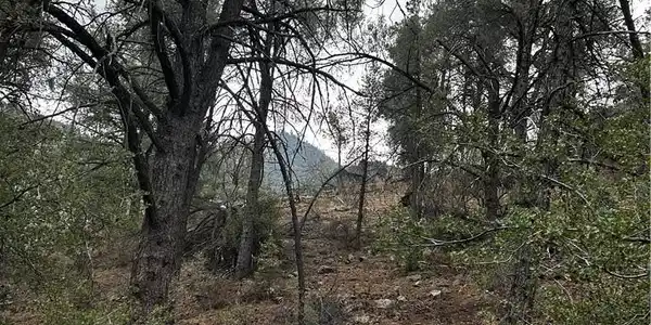 14208 Yellowstone Drive