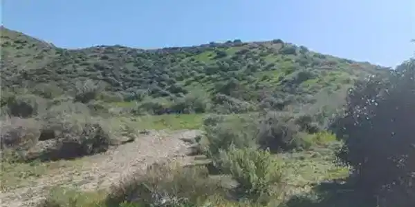 62 Las Lljas Canyon Road