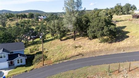 18300 Grizzly Court
