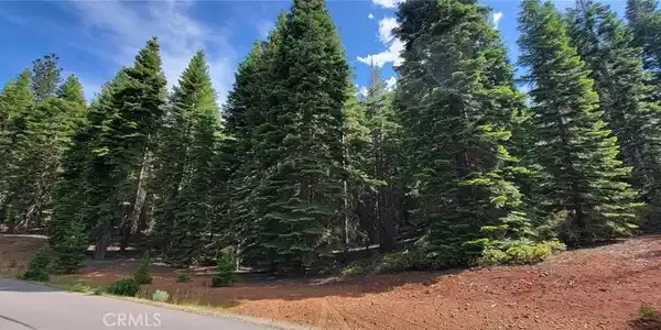 233 Snowy Peak