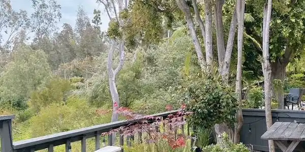 4 Canyon Ridge