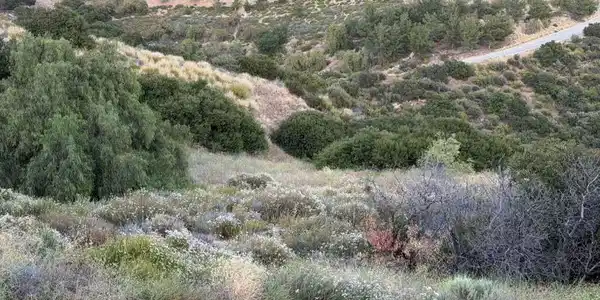 2 Coya Trail