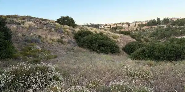 4 Coya Trail