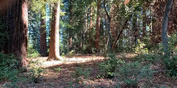 1 Santa Ana Road