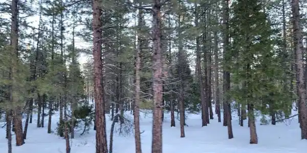 0 Glacier Dr Lot 12