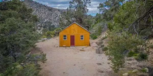 Image 4