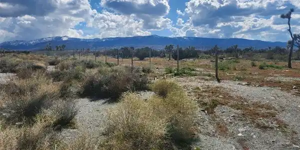 2647 Minero Road