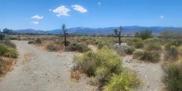 0 Minero Road