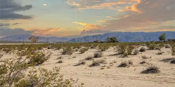 1111 Desert Heights