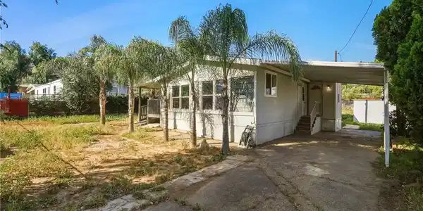 26251 Olson