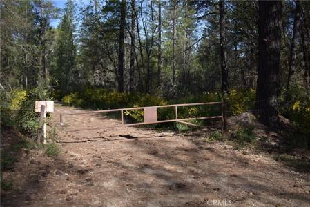 14550 Grizzly Hill