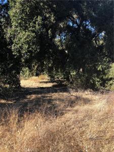 0 Red Mountain Road