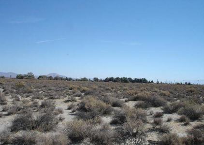 0 Bear Valley / Duncan Road