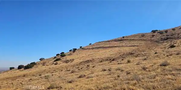 0 Oreo Lane