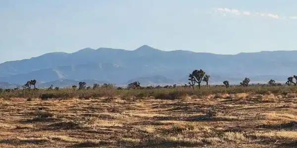 0 Bear Valley Road