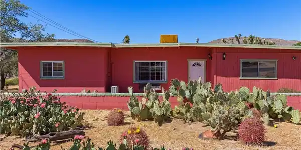 55316 Navajo