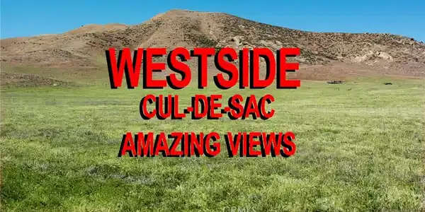 11859 Crest Park Trail