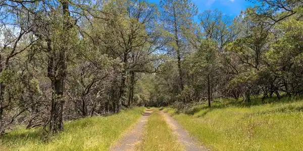 4 Oregon Gulch