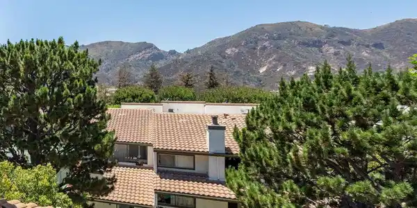 1674 Palisades Drive